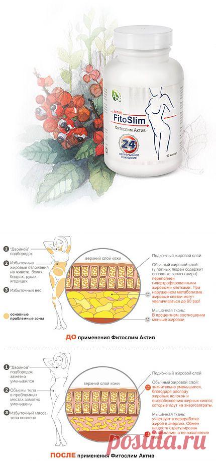 Фитослим Актив | Fitoslim Active