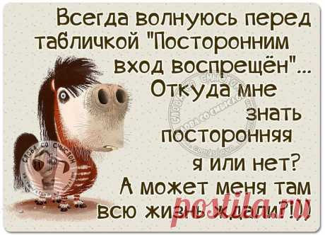 (3) Facebook