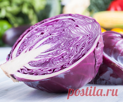 Как приготовить голубцы из краснокочанной капусты. Вкусные голубые голубцы Рецепт голубцов из красной капусты Голубые голубцы с фрикадельками. Ингредиенты: капуста – 600 г фарш мясной – 600 г перец болгарский – 1 шт. морковь – 2 шт. лук репчатый – 1-2 шт. томатная паста – 4 ст. л. рис – 50 г капуста красная – 0,5 кочана яйцо – 1 шт сметана – 400 мл соль – по вкусу лук зелёный – для украшения Приготовление: 1. Красную капусту разрезать на 4 части, отварить в подсоленной воде, откинуть на дуршла…