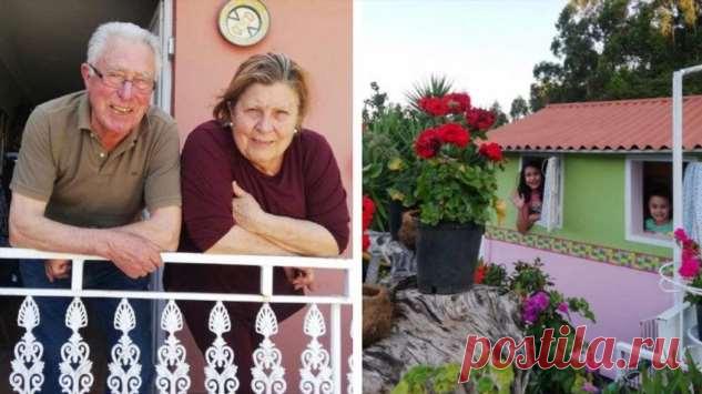 Бабушка и дедушка построили своим внукам настоящий замок во дворе . Милая Я