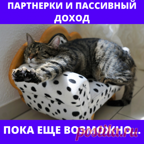 Это, наверное, единственный пассивный доход, который я признаю на манеже существующих &quot;бизнесов в интернете&quot;. Есть, конечно, еще инвестиции. Но тут как в любимом статусе у девушек - &quot;все сложно&quot;.

Еще один крупный инфобизнесмен открыл такую партнерку к своему флагманскому курсу. Сам курс находится по ссылке:

https://ail.pw/mount