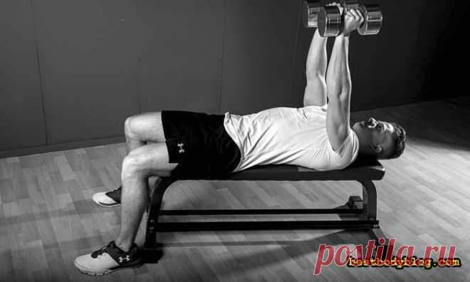 Разведения гантелей лежа. Лекарство от хилой груди | bestbodyblog.com