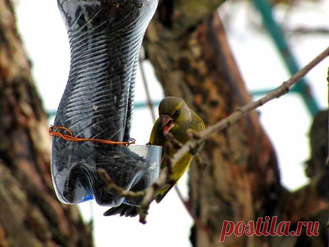 Простой вариант кормушки для сада из полторашки