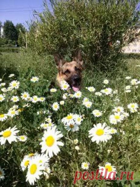 абдуллина лариса – Google+