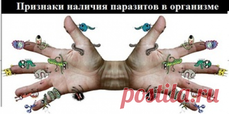 ПРИЗНАКИ НАЛИЧИЯ ПАРАЗИТОВ В ОРГАНИЗМЕ. ПРОВЕРЬТЕ СЕБЯ И СВОИХ БЛИЗКИХ! ОЧЕНЬ ЦЕННАЯ ИНФОРМАЦИЯ, КОТОРАЯ МОЖЕТ СПАСТИ ЗДОРОВЬЕ ВАШИХ БЛИЗКИХ! Обсуждение на LiveInternet - Российский Сервис Онлайн-Дневников