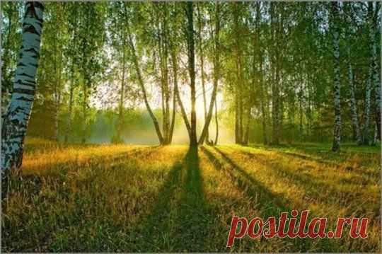 Антон Лаврецкий