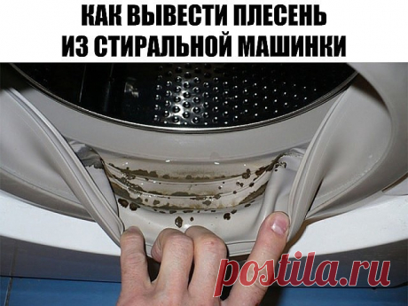 В стиральной машине обнаружена плесень! В стиральной машине обнаружена плесень! Хорошо, что я знаю этот чудо-метод…
Ты вдруг стала замечать, что после стирки вещи приобретают неприятный запах, а на уплотнительных резинках стиральной машинки или в лоточках для порошка появились черные пятна? Знай — это черная плесень, грибок, вызывающий различные заболевания человека и животных.
Зачастую плесень появляется там, где для нее складываются благоприятные условия: повышенная влаж...