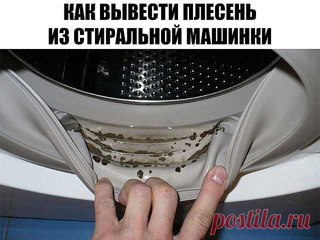 В стиральной машине обнаружена плесень! В стиральной машине обнаружена плесень! Хорошо, что я знаю этот чудо-метод…
Ты вдруг стала замечать, что после стирки вещи приобретают неприятный запах, а на уплотнительных резинках стиральной машинки или в лоточках для порошка появились черные пятна? Знай — это черная плесень, грибок, вызывающий различные заболевания человека и животных.
Зачастую плесень появляется там, где для нее складываются благоприятные условия: повышенная влаж...