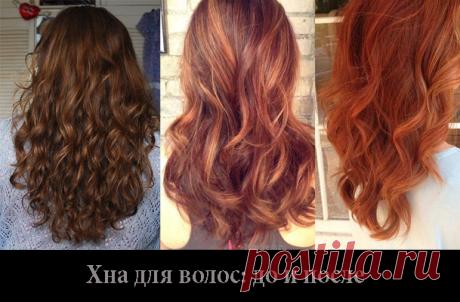 Хна для волос: как покрасить и смыть, оттенки, польза и вред