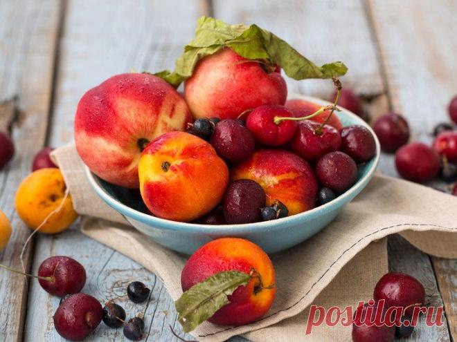 Как правильно хранить фрукты и ягоды дома / Домоседы