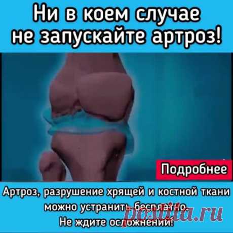 От каких заболеваний избавляет ваше средство?
– От всех воспалительных, аутоиммунных и дегенеративно-дистрофических заболеваний суставов и позвоночника.
Артонин обеспечивает полное излечение от 
Артрита, Артроза, Артралгии, Бурсита, Гигромы, Остеопороза, Остеохондроза, Периартрита, Подагры, Ревматизма, Синовита,
Достигается устойчивая длительная ремиссия при -
Болезни Бехтерева.
Болезни Рейтера.
Болезни Стилла.