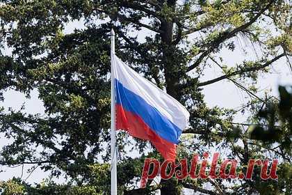 СК отреагировал на сжегшего российский флаг в Берлине мужчину