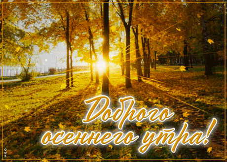 Искренняя гиф-открытка, доброго осеннего утречка