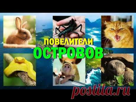 Необычные острова под управлением животных