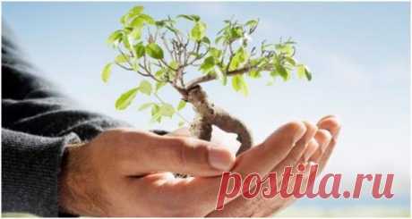 Наше время ограничено, не надо тратить его, чтобы прожить чужую жизнь. Не угодите в ловушку устоявшихся взглядов — это значит жить, используя мысли других людей. Не позволяйте, чтобы чужие мнения, какими бы громкими они ни были, заглушали ваш внутренний голос. И самое важное, имейте храбрость следовать вашему сердцу и интуиции. Они уже знают, кем вы хотите стать. Все остальное — второстепенно. Стив Джобс.  Регистрация , научим и покажем