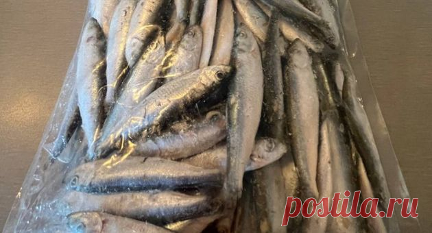 Вкусная килька за 24 часа и ничего не надо размораживать Вкусная килька за 24 часа и ничего не надо размораживать