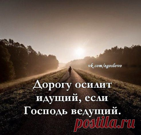 (8) Одноклассники