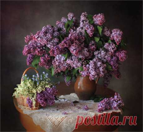 ФОТОНАТЮРМОРТЫ / STILL LIFE