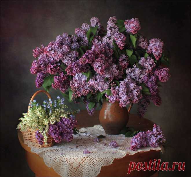 ФОТОНАТЮРМОРТЫ / STILL LIFE