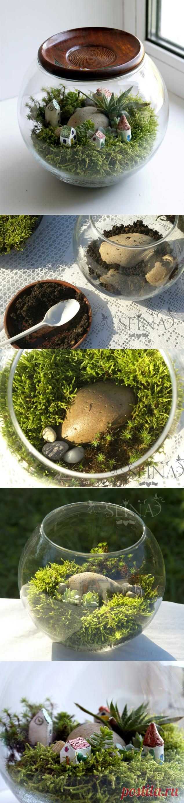 Сад на окне