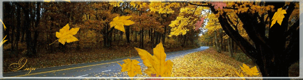 КРАСИВЫЕ КАРТИНКИ. ВИДЕО. МИР, В КОТОРОМ МЫ ЖИВЕМ! - Группы Мой Мир