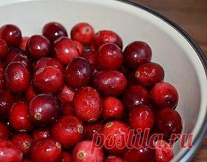 Испив имбирька с брусничкой станете похожи на певчую птичку!.