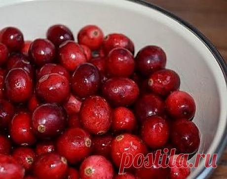 Испив имбирька с брусничкой станете похожи на певчую птичку!.