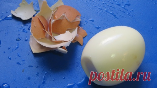 Продукты, которые мы привыкли чистить неправильно! - Шаг к Здоровью
