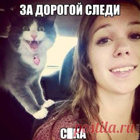 +100500 приколов :D