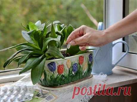 КРАСОТА В ДЕТАЛЯХ рукоделие, рецепты, идеи, МК