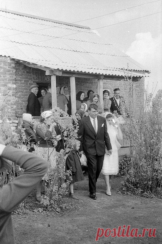 Советские свадьбы / Назад в СССР / Back in USSR