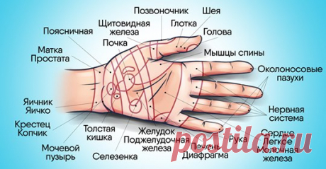 Почему нужно чаще делать массаж рук