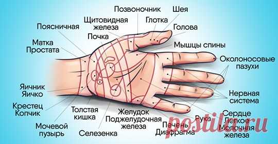 Почему нужно чаще делать массаж рук