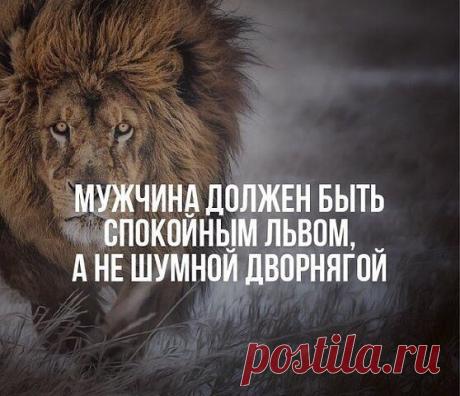 Мой Мир@Mail.Ru