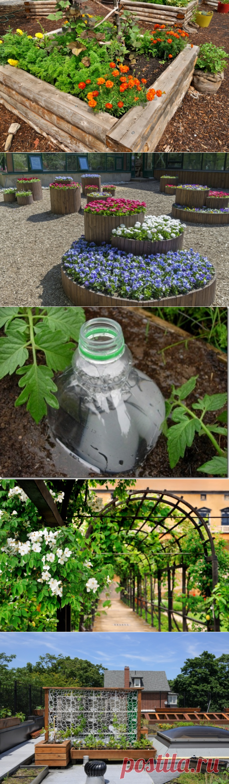 13 оригинальных идей для дачи, о которых мечтает любой садовод - Садоводка