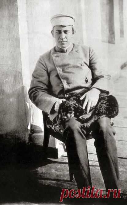 Найдено на сайте literarydogs.tumblr.com.