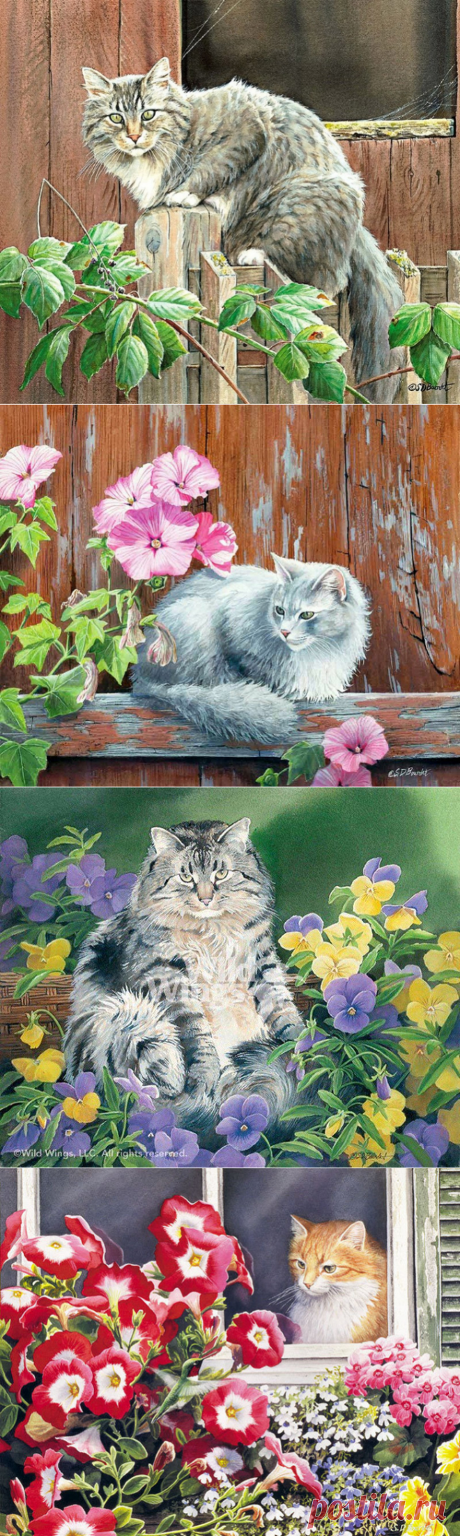 Кошки в живописи Susan Bourdet