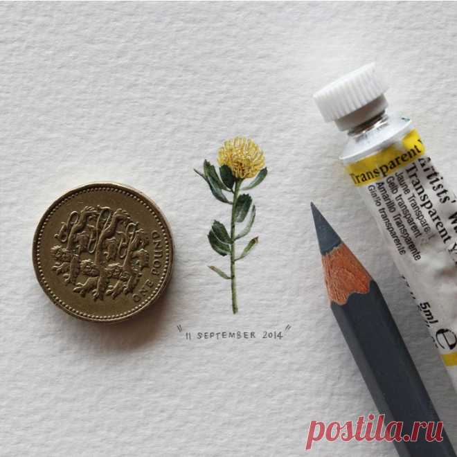 Миниатюрные иллюстрации «Postcards for Ants»