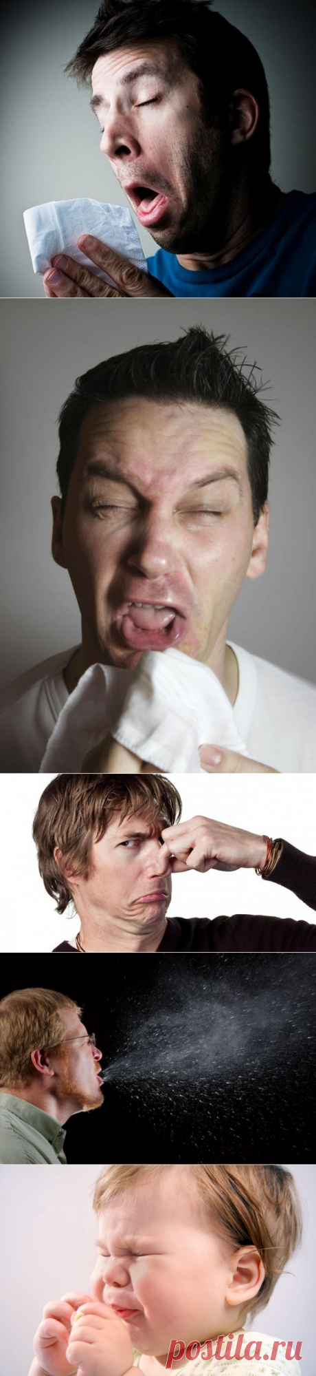 Самая правдивая и проверенная чихалка на понедельник