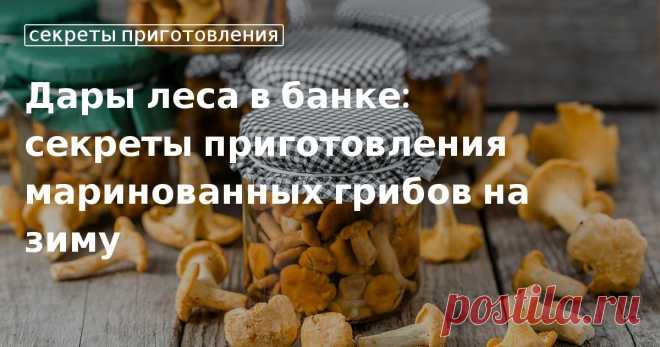 Грибы маринованные на зиму Особенности приготовления и рецепты маринованных грибов на зиму. Как лучше закрыть в банки опята волнушки, шампиньоны, лисички и белые грибы.