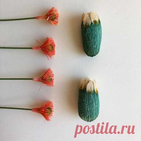 I found all these cactus flower bits in a drawer this morning.  Sorry, guys!  I’ll get to you eventually!