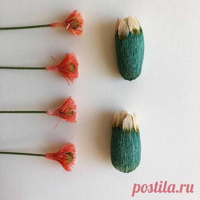 I found all these cactus flower bits in a drawer this morning.  Sorry, guys!  I’ll get to you eventually!