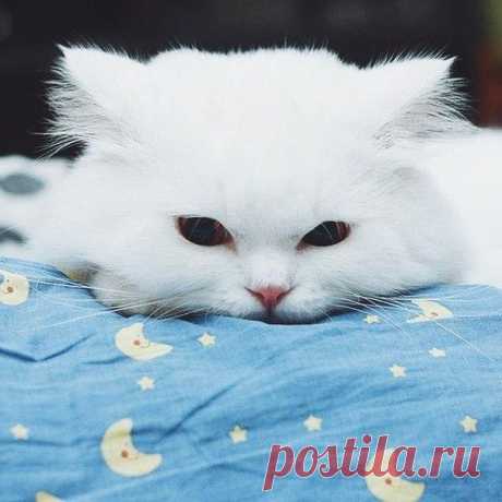 Добрых снов