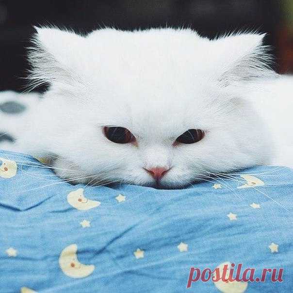 Добрых снов