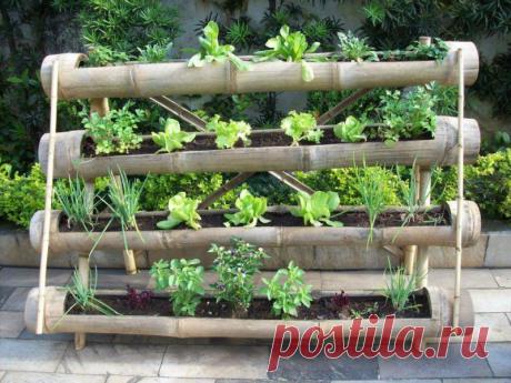 Вертикальные грядки: плюсы и минусы. Сохраните любой пост с сайта 7dach.ru в Постиле и выиграйте призы от интернет-магазина Клуб Красоты. Чем больше постов - тем выше шансы. Розыгрыш состоится в понедельник, 30 января. В акции участвуют все посты, которые содержат этот текст или фото призов!