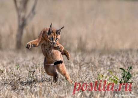 ФОТО | удачные кадры, путешествия, природа