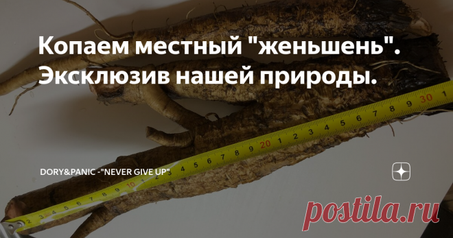 Копаем местный 