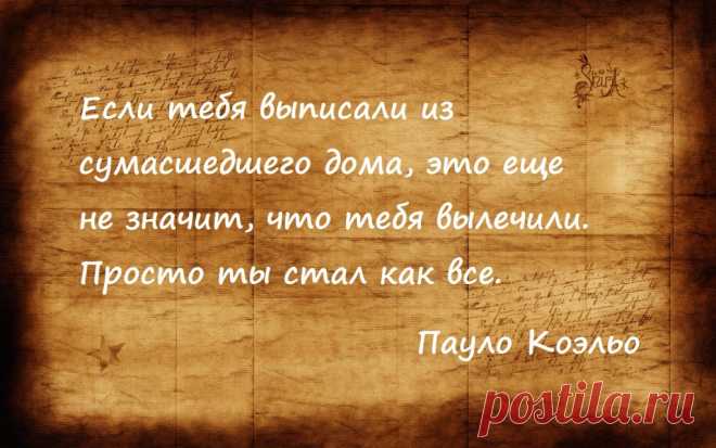 Если тебя выписали из сумасшедшего дома, это еще не значит, что тебя вылечили. Просто ты стал как все | Мир позитивных новостей