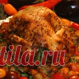 Курица в полёте по-гречески Кулинарный рецепт