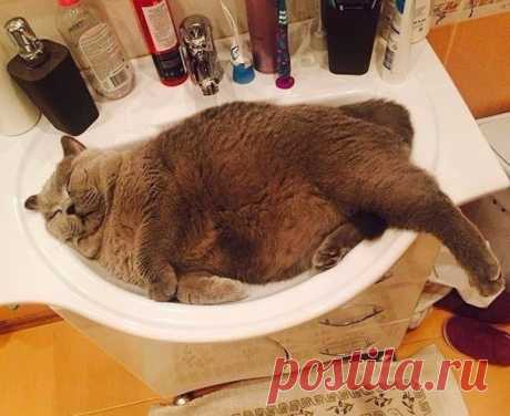 Когда обнаруживаешь, что в сливе что-то застряло)